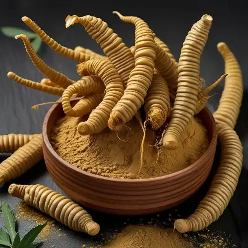 Is cordyceps militaris extract safe to eat?